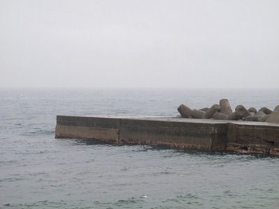 P6130182