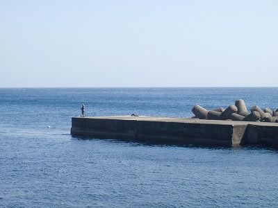P3090076