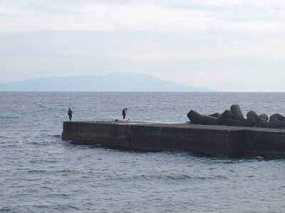 P2040113