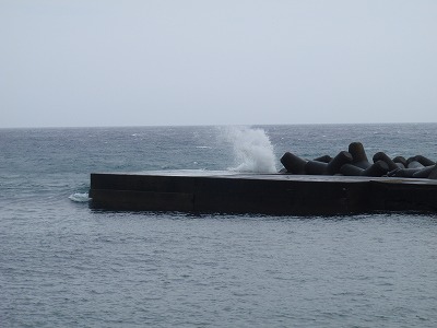 P2260061
