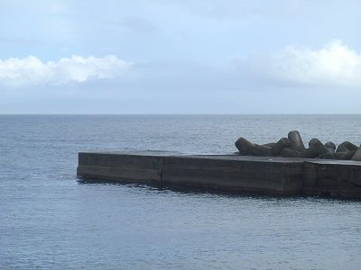 P9080206