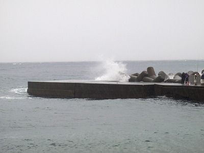 PB170272
