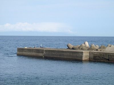 P8290184