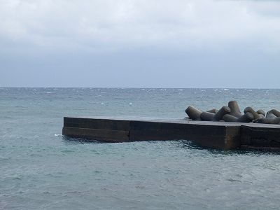 PA230111