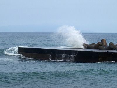 P7240240