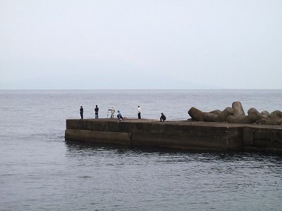 P5310254