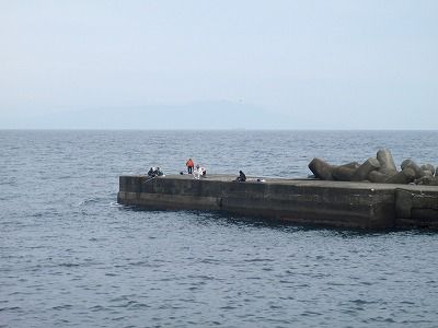 P6010086