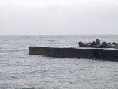 P2260125