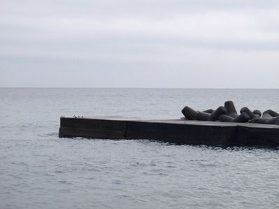 P2220125