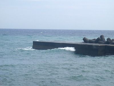 P4020149