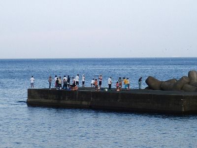 P8180238