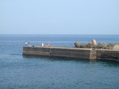 P8040206