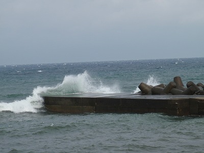 P8300005