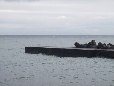 P4090182