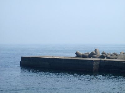 P8110083