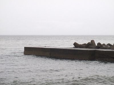 P7060119