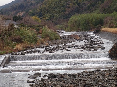 P3010230