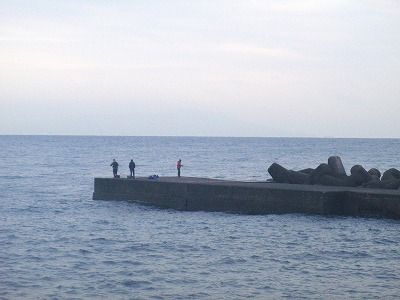 PB300155
