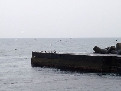 P3230252