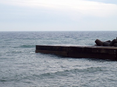 P6090067