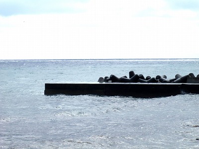 P3080060
