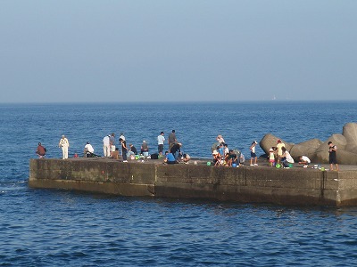 P8030338
