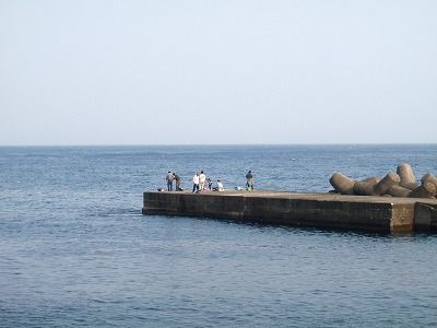 P3100076