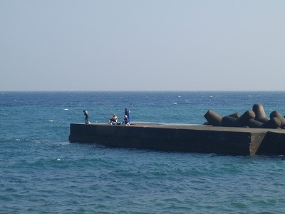 PA310040