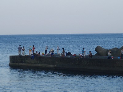 P8130002
