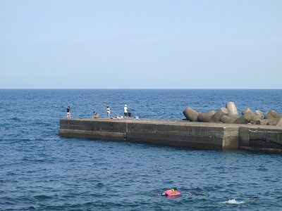 P8110149