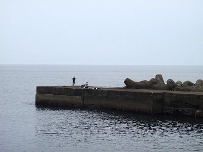P5250254