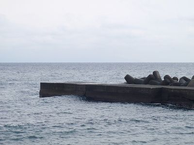 P2090224