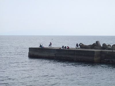 P4060224