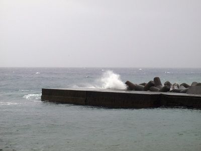 PC110113