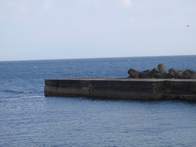 P3190261