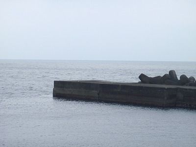 P4010114