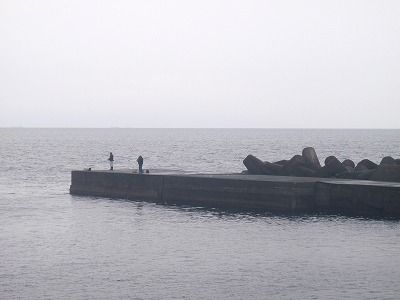 P5310206