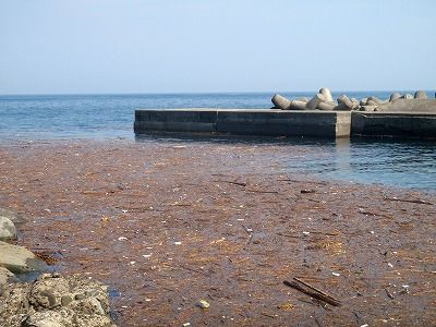 P9120113