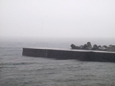 P9110155