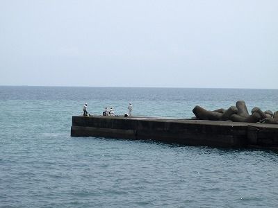 P5300254