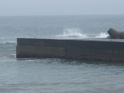 P8060338