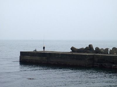 P5090253