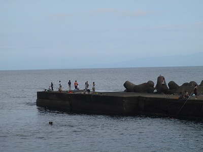 P8120001