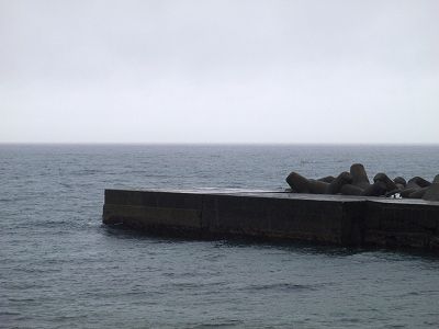 P6280110