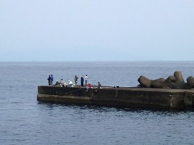 P6030245