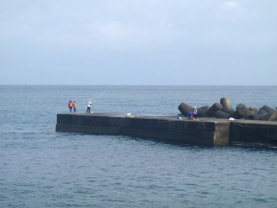 P4030150