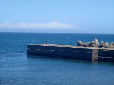 P7020208