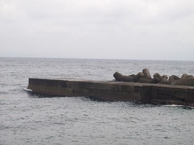 P5300149