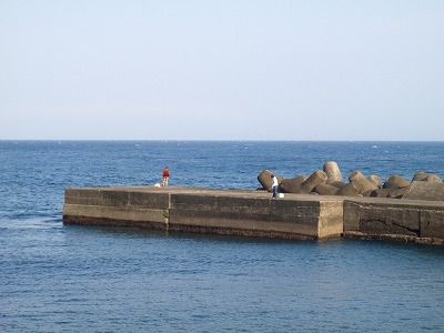 P4040207