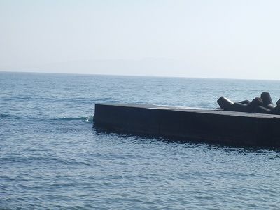 P2280102